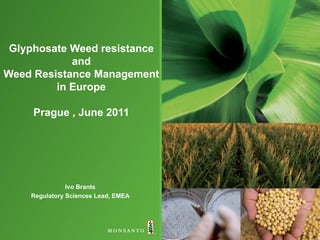 Glyphosate Weed resistance
            and
Weed Resistance Management
         in Europe

     Prague , June 2011




               Ivo Brants
    Regulatory Sciences Lead, EMEA
 
