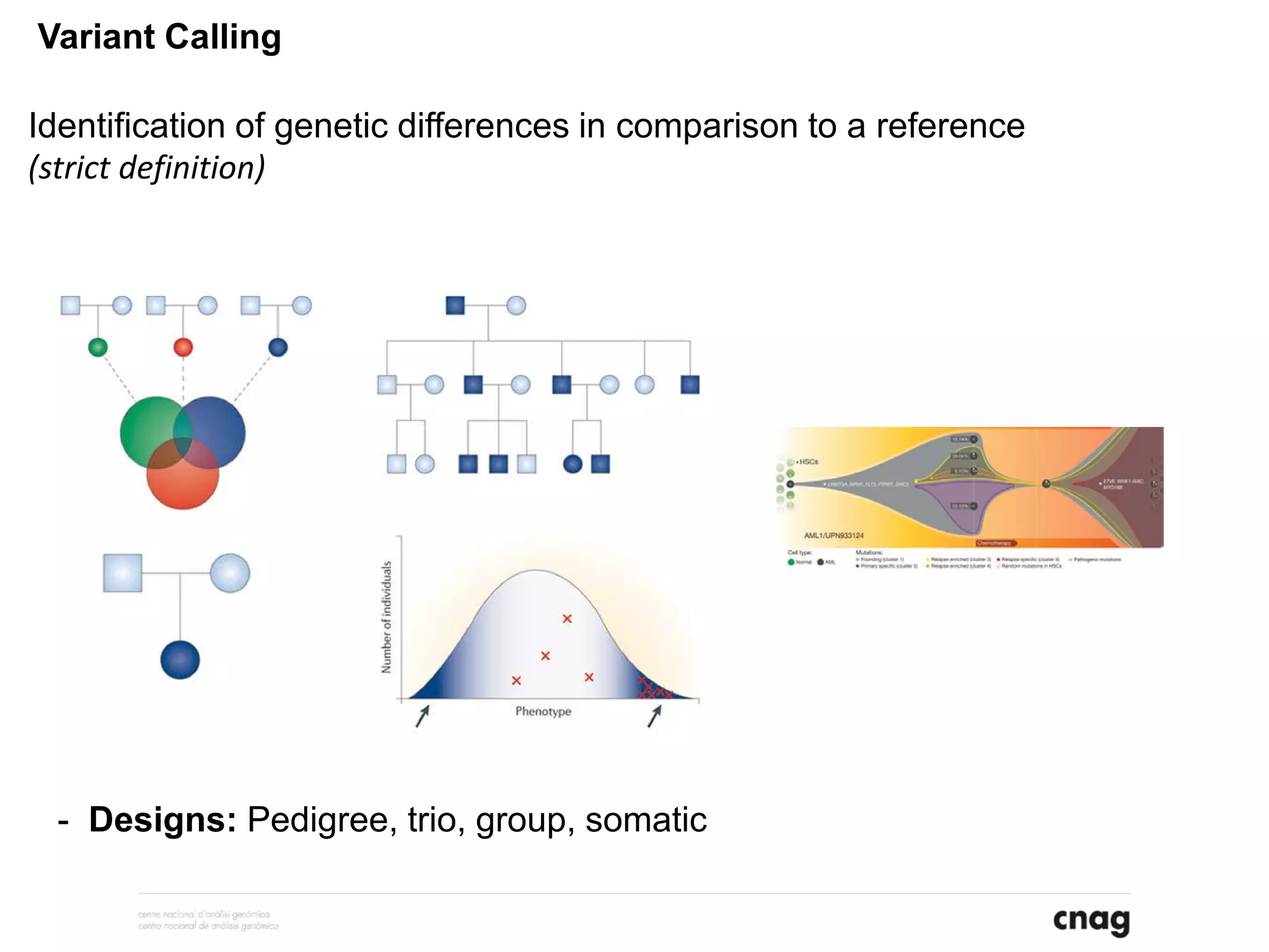 Variant Calling
Identification of genetic differences in comparison to a reference
(strict definition)
- Designs: Pedigree, trio, group, somatic