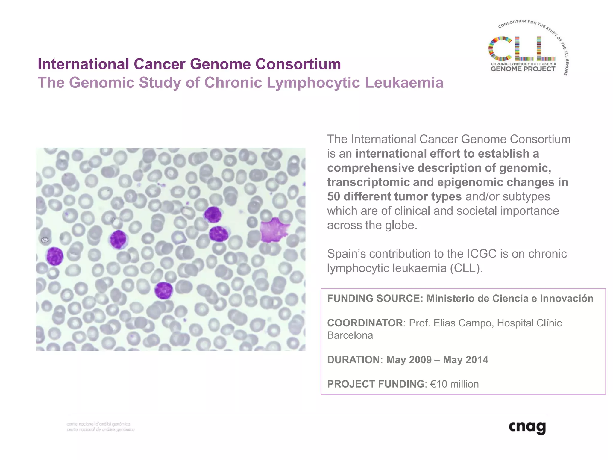 International Cancer Genome Consortium
The International Cancer Genome Consortium
is an international effort to establish a
comprehensive description of genomic,
transcriptomic and epigenomic changes in
50 different tumor types and/or subtypes
which are of clinical and societal importance
across the globe.
Spain’s contribution to the ICGC is on chronic
lymphocytic leukaemia (CLL).
FUNDING SOURCE: Ministerio de Ciencia e Innovación
COORDINATOR: Prof. Elias Campo, Hospital Clínic
Barcelona
DURATION: May 2009 – May 2014
PROJECT FUNDING: €10 million