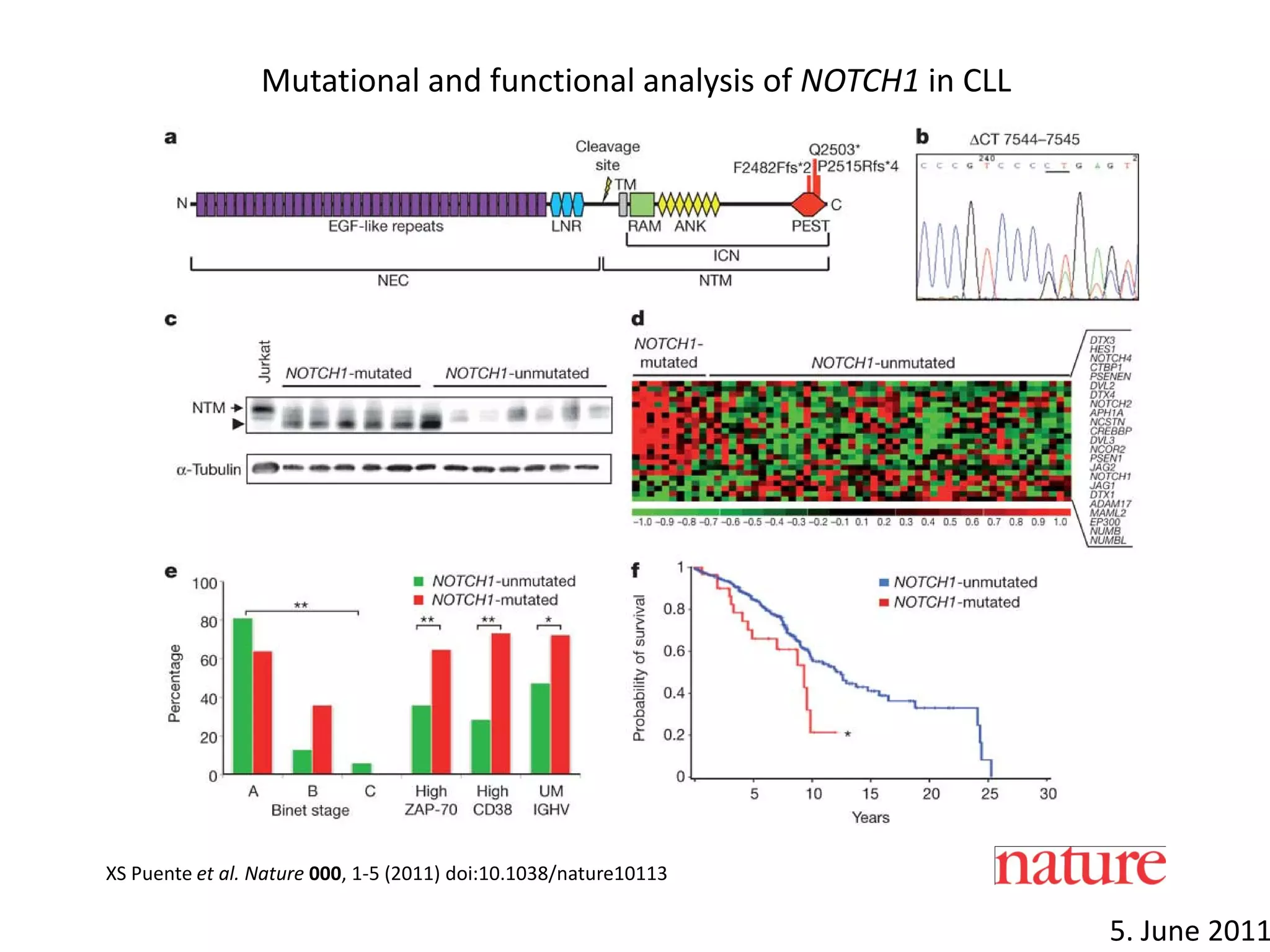 XS Puente et al. Nature 000, 1-5 (2011) doi:10.1038/nature10113
Mutational and functional analysis of NOTCH1 in CLL
5. June 2011