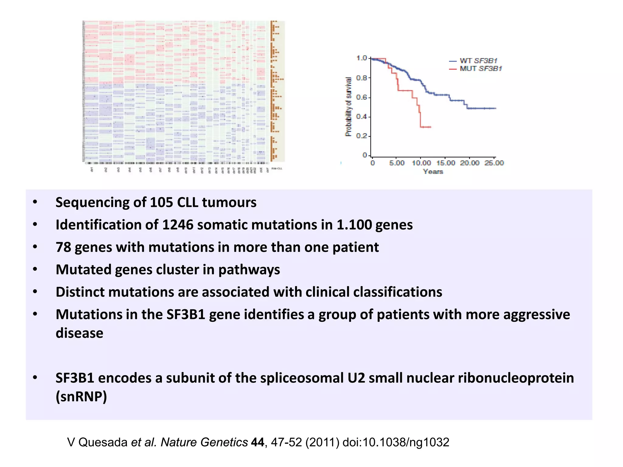 • Sequencing of 105 CLL tumours
• Identification of 1246 somatic mutations in 1.100 genes
• 78 genes with mutations in more than one patient
• Mutated genes cluster in pathways
• Distinct mutations are associated with clinical classifications
• Mutations in the SF3B1 gene identifies a group of patients with more aggressive
disease
• SF3B1 encodes a subunit of the spliceosomal U2 small nuclear ribonucleoprotein
(snRNP)
V Quesada et al. Nature Genetics 44, 47-52 (2011) doi:10.1038/ng1032