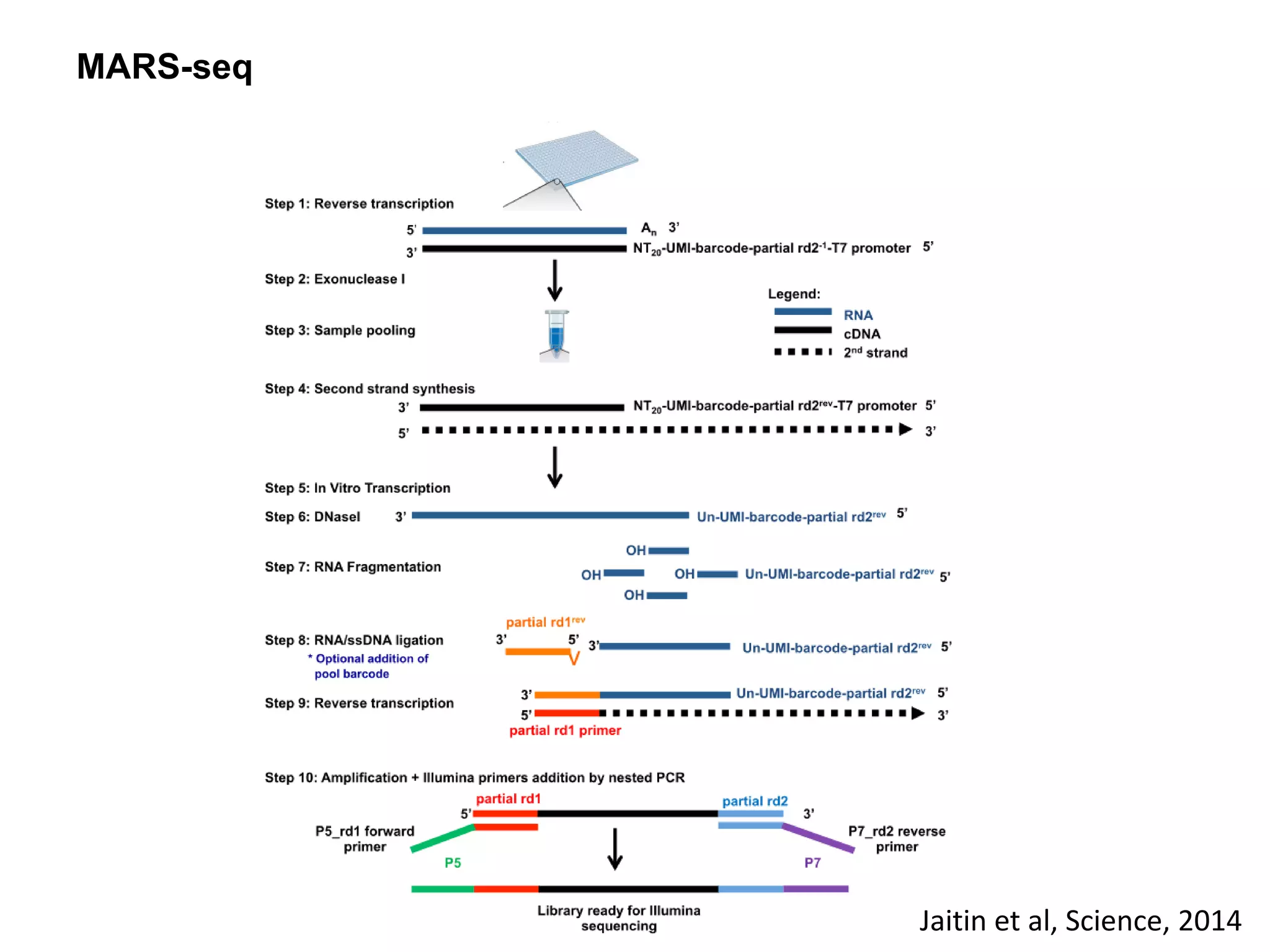 MARS-seq
Jaitin et al, Science, 2014