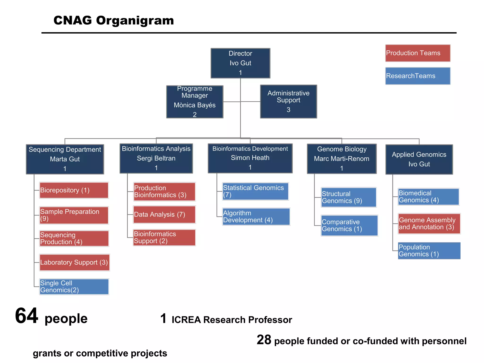 Director
Ivo Gut
1
Sequencing Department
Marta Gut
1
Biorepository (1)
Sample Preparation
(9)
Sequencing
Production (4)
Laboratory Support (3)
Single Cell
Genomics(2)
Bioinformatics Analysis
Sergi Beltran
1
Production
Bioinformatics (3)
Data Analysis (7)
Bioinformatics
Support (2)
Bioinformatics Development
Simon Heath
1
Statistical Genomics
(7)
Algorithm
Development (4)
Genome Biology
Marc Marti-Renom
1
Structural
Genomics (9)
Comparative
Genomics (1)
Applied Genomics
Ivo Gut
Biomedical
Genomics (4)
Genome Assembly
and Annotation (3)
Population
Genomics (1)
Programme
Manager
Mònica Bayés
2
Administrative
Support
3
Production Teams
ResearchTeams
CNAG Organigram
64 people 1 ICREA Research Professor
28 people funded or co-funded with personnel
grants or competitive projects