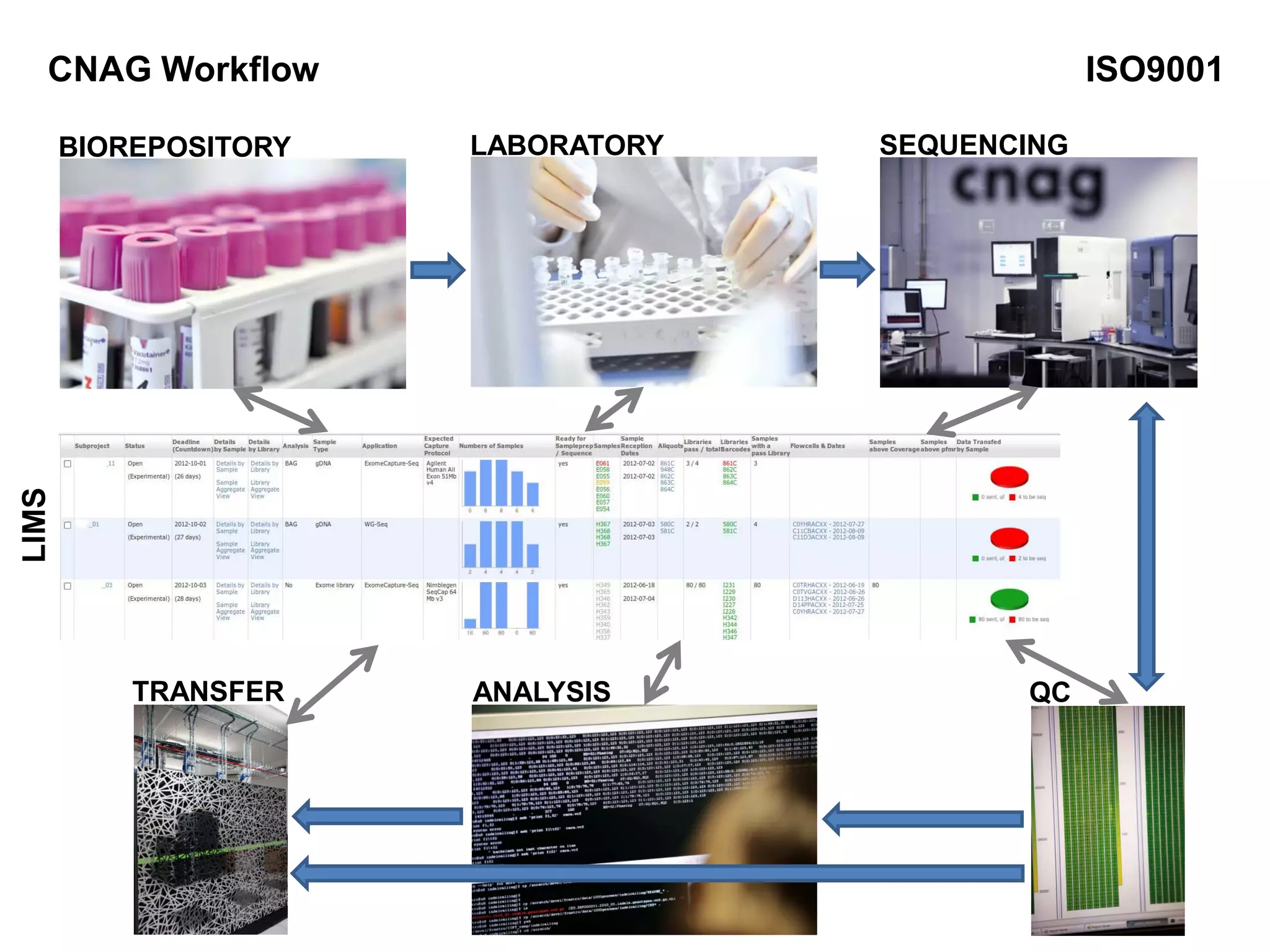 BIOREPOSITORY LABORATORY SEQUENCING
QCANALYSISTRANSFER
LIMS
CNAG Workflow ISO9001