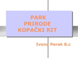 PARK
 PRIRODE
KOPAČKI RIT

     Ivona Perak 8.c
 