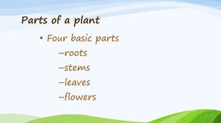 Plants: Parts and Their Functions Part-1 FOR CLASS IV | PPTX