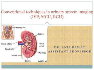 DR. ANIL RAWAT
ASSISTANT PROFESSOR
Conventional techniques in urinary system imaging
(IVP, MCU, RGU)
 