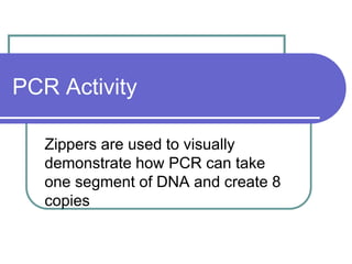 PCR Activity
Zippers are used to visually
demonstrate how PCR can take
one segment of DNA and create 8
copies
 