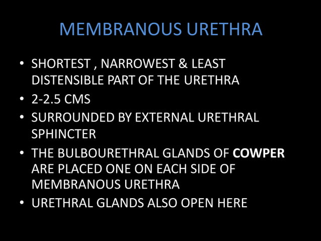 IVP, RGU & MCU | PPTX | Digestive Disorders | Diseases and Conditions