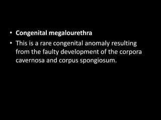 • Congenital megalourethra
• This is a rare congenital anomaly resulting
from the faulty development of the corpora
cavernosa and corpus spongiosum.
 