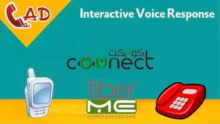 IVR - Interactive Voive Response 