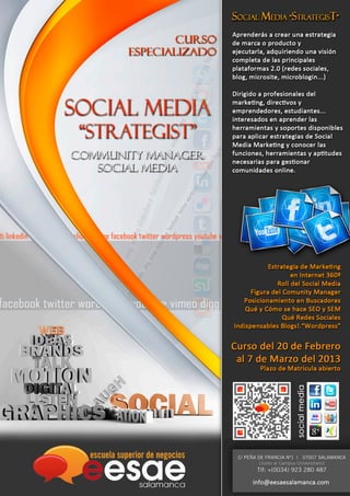 IV Social Media Strategist 