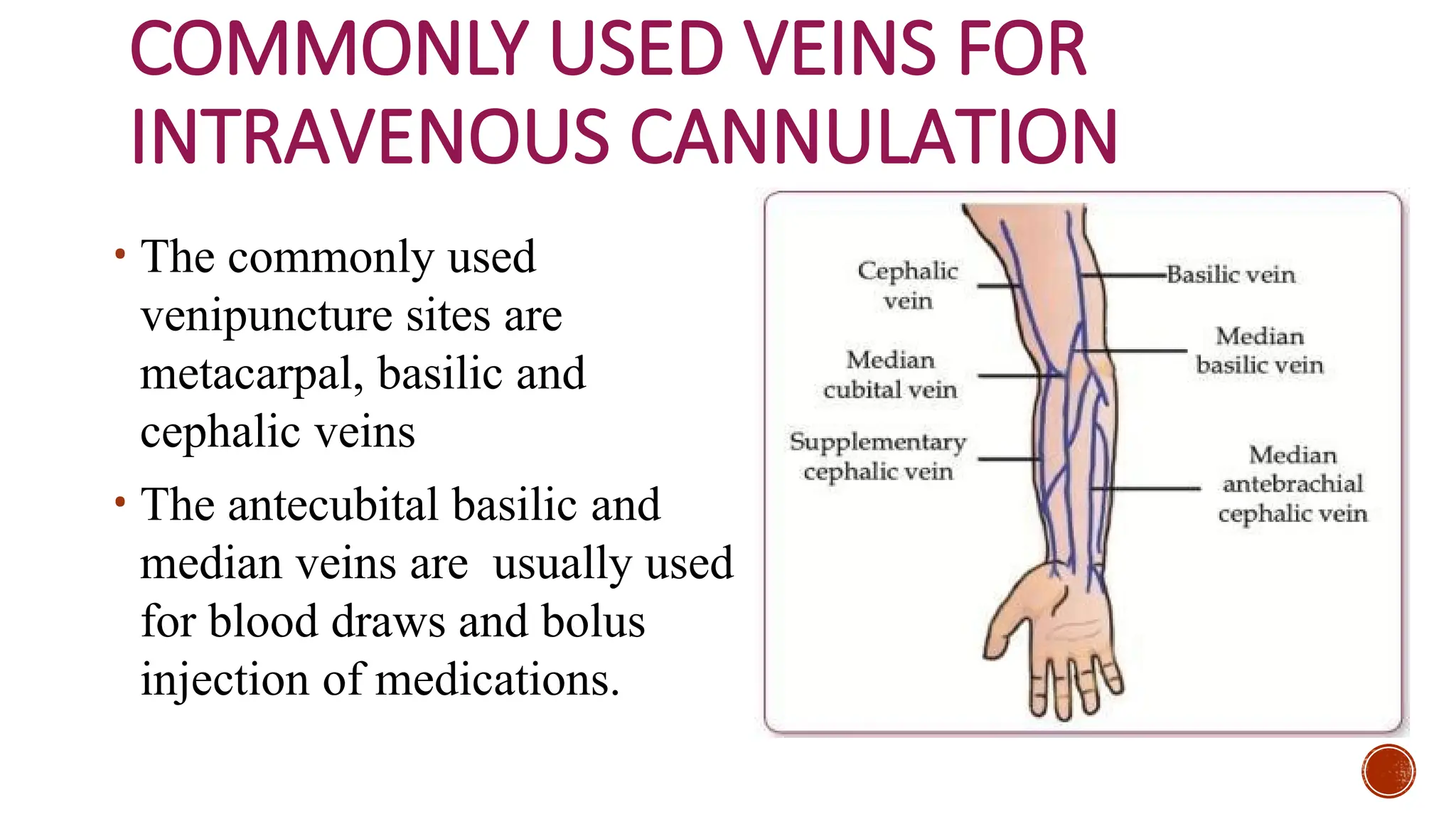 COMMONLY USED VEINS FOR
INTRAVENOUS CANNULATION
• The commonly used
venipuncture sites are
metacarpal, basilic and
cephalic veins
• The antecubital basilic and
median veins are usually used
for blood draws and bolus
injection of medications.
 