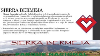 SIERRA BERMEJA
• Sierra Bermeja (del árabe Gebal Alhambra ). Se trata del mayor macizo de
rocas peridotíticas ricas en hierro y platino del mundo, sin comparación alguna
en el planeta en cuanto a su composición geológica. El color de las rocas da
nombre a la Sierra, ya que Bermejo significa rojo. La piedra caliza y la tierra
roja (peridotita) de la Sierra reflejan el sol de forma distinta a lo largo del todo el
año, ofreciéndonos distintas tonalidades y colores.
• Estos minerales, un clima suave y un régimen especial de lluvias crean las
condiciones necesarias para el crecimiento de una gran cantidad de especies
vegetales difíciles de ver en otros espacios naturales.
 