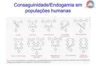 Consaguinidade/Endogamia em populações humanasCasamentos consaguíneos