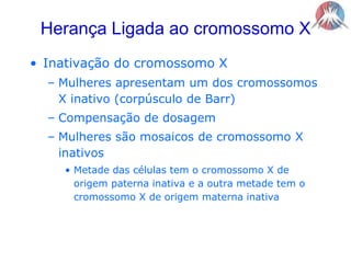 Herança Ligada ao cromossomo XInativação do cromossomo XMulheres apresentam um dos cromossomos X inativo (corpúsculo de Barr)Compensação de dosagemMulheres são mosaicos de cromossomo X inativosMetade das células tem o cromossomo X de origem paterna inativa e a outra metade tem o cromossomo X de origem materna inativa
