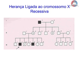 Herança Ligada ao cromossomo XRecessiva