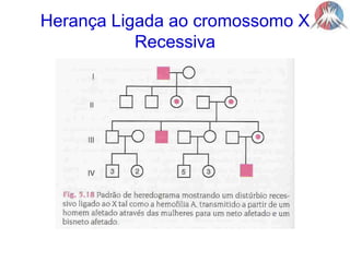 Herança Ligada ao cromossomo XRecessiva