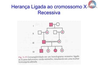Herança Ligada ao cromossomo XRecessiva