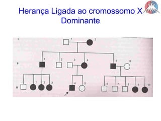 Herança Ligada ao cromossomo XDominante
