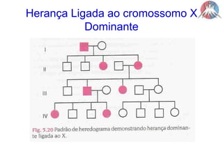 Herança Ligada ao cromossomo XDominante