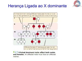 Herança Ligada ao X dominante