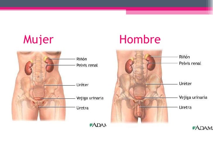 Fotos hombres en bóxer