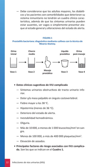 —— Debe considerarse que los adultos mayores, los diabéticos y los pacientes con comorbilidades que deterioran su
sistema inmunitario no tendrán un cuadro clínico característico, además de que los síntomas urinarios pueden
estar ausentes, ser vagos o simplemente presentar ataque al estado general y alteraciones del estado de alerta.
FIGURA 1
Prostatitis bacteriana: diagnóstico mediante cultivos con la técnica de
Meares-Stamey.

•	 Datos clínicos sugestivos de IVU complicada
—— Síntomas urinarios obstructivos de tracto urinario inferior.
—— Dolor y/o masa palpable en ángulo costovertebral.
—— Fiebre mayor a los 38 oC.
—— Hipotermia (menos de 36 oC).
—— Deterioro del estado de alerta.
—— Inestabilidad hemodinámica.
—— Oliguria.
—— Más de 10 000, o menos de 1 000 leucocitos/mm3 en sangre.
—— Menos de 100 000, o más de 400 000 plaquetas/mm3.
—— Elevación de azoados.
•	 Principales factores de riesgo asociados con IVU complicada. Son los que se indican en el Cuadro 1.

12

Infecciones de vías urinarias (IVU)

 
