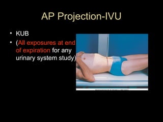 AP Projection-IVU
• KUB
• (All exposures at end
of expiration for any
urinary system study)

 