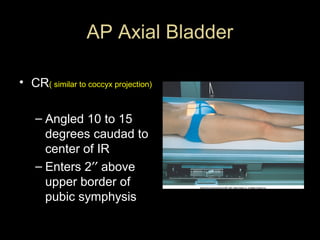 AP Axial Bladder
• CR( similar to coccyx projection)
– Angled 10 to 15
degrees caudad to
center of IR
– Enters 2′′ above
upper border of
pubic symphysis

 