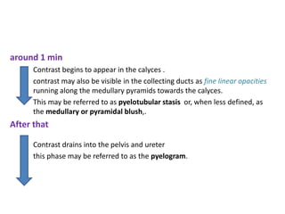 around 1 min
Contrast begins to appear in the calyces .
contrast may also be visible in the collecting ducts as fine linear opacities
running along the medullary pyramids towards the calyces.
This may be referred to as pyelotubular stasis or, when less defined, as
the medullary or pyramidal blush,.
After that
Contrast drains into the pelvis and ureter
this phase may be referred to as the pyelogram.
 