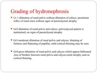 Grading of hydronephrosis
 Gr 1-dilatation of renal pelvis without dilatation of calices, prominent
reflex of renal sinus without signs of parenchymal atrophy.
 Gr2-dilatation of renal pelvis and calices ,pelvicalyceal pattern is
maintained, no signs of parenchymal atrophy
 Gr3-moderate dilatation of renal pelvis and calyces ,blunting of
fornices and flattening of papillae, mild cortical thinning may be seen
 Gr4-gross dilatation of renal pelvis and calyces which appear ballooned
,loss of borders between renal pelvis and calyces,renal atrophy seen as
cortical thinning.
 