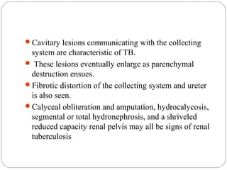 Cavitary lesions communicating with the collecting
system are characteristic of TB.
 These lesions eventually enlarge as parenchymal
destruction ensues.
Fibrotic distortion of the collecting system and ureter
is also seen.
Calyceal obliteration and amputation, hydrocalycosis,
segmental or total hydronephrosis, and a shriveled
reduced capacity renal pelvis may all be signs of renal
tuberculosis
 