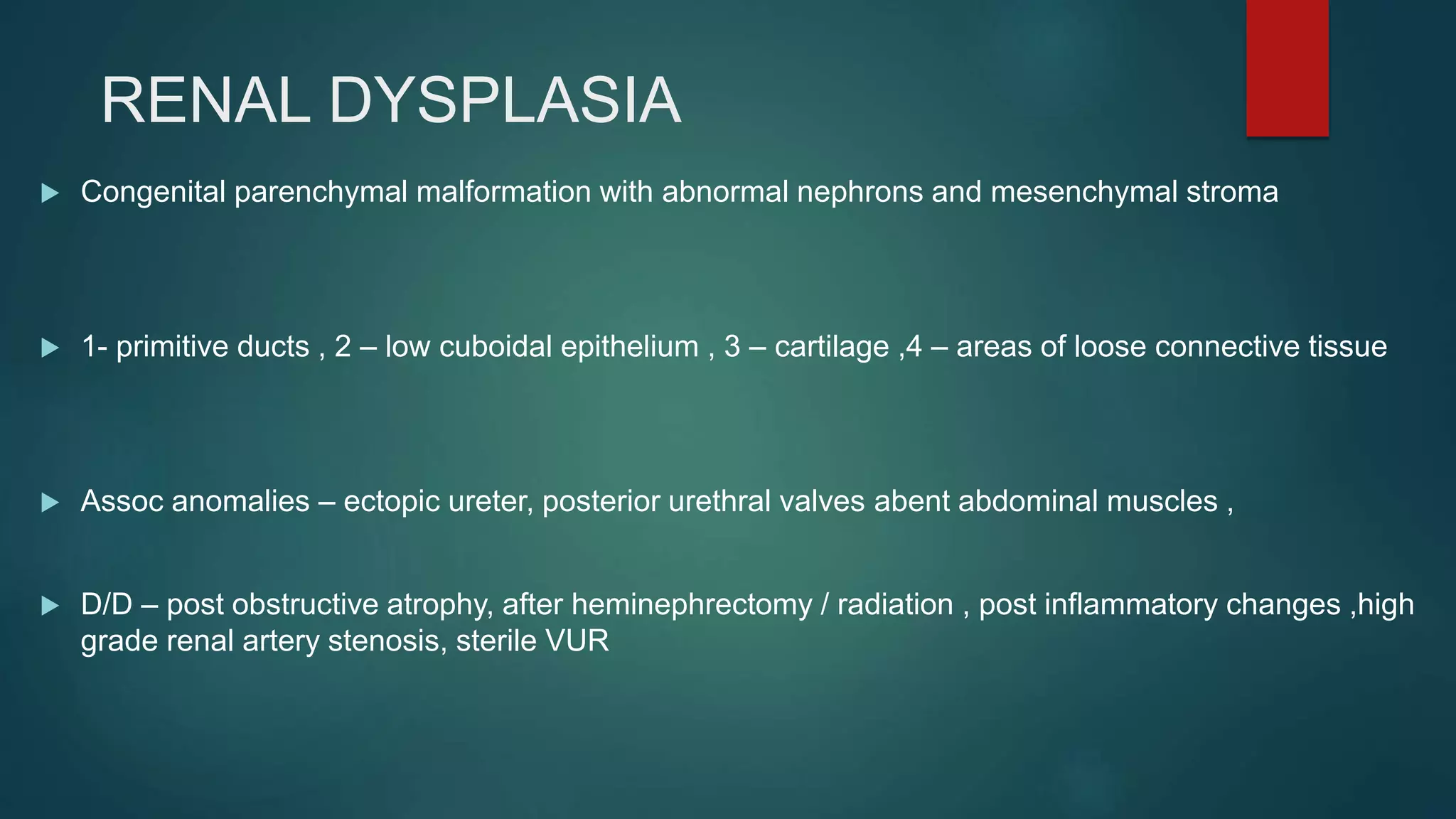 RENAL DYSPLASIA
 Congenital parenchymal malformation with abnormal nephrons and mesenchymal stroma
 1- primitive ducts , 2 – low cuboidal epithelium , 3 – cartilage ,4 – areas of loose connective tissue
 Assoc anomalies – ectopic ureter, posterior urethral valves abent abdominal muscles ,
 D/D – post obstructive atrophy, after heminephrectomy / radiation , post inflammatory changes ,high
grade renal artery stenosis, sterile VUR
 