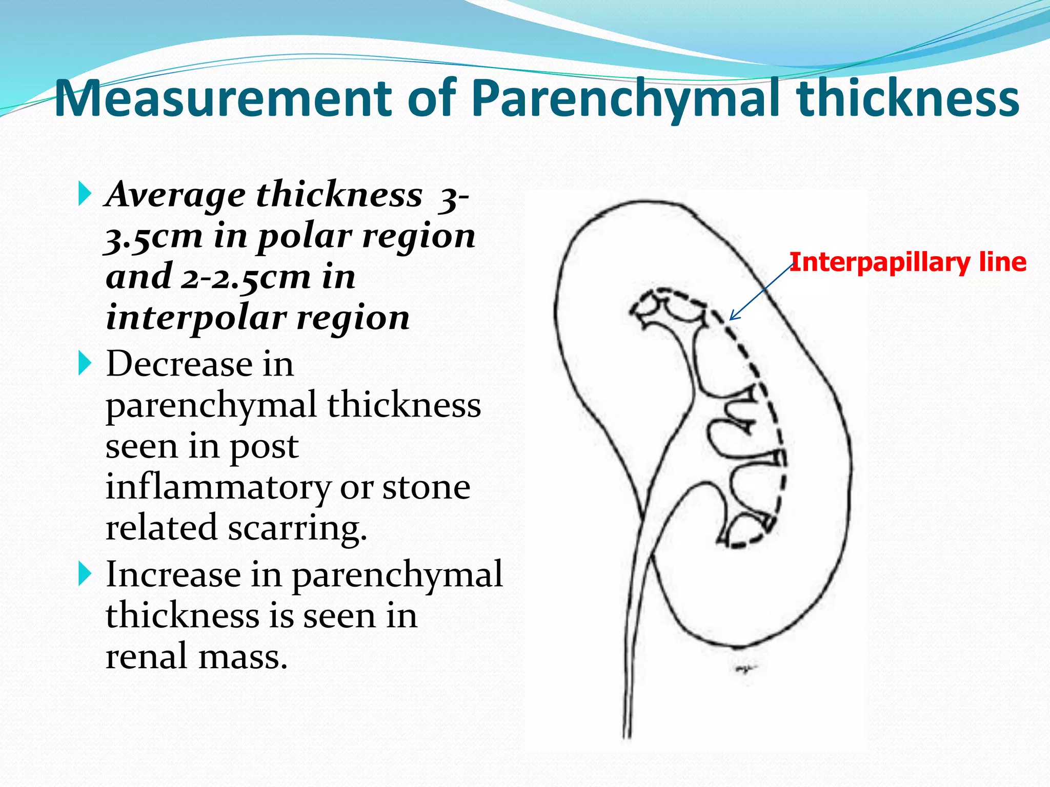  Average thickness 3-
3.5cm in polar region
and 2-2.5cm in
interpolar region
 Decrease in
parenchymal thickness
seen in post
inflammatory or stone
related scarring.
 Increase in parenchymal
thickness is seen in
renal mass.
Measurement of Parenchymal thickness
Interpapillary line
 