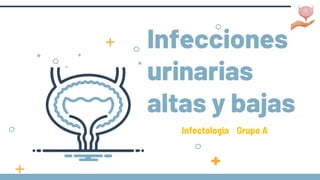 Infecciones
urinarias
altas y bajas
Infectología Grupo A
 