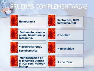 PRUEBAS COMPLEMENTARIAS