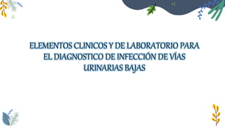 ELEMENTOS CLINICOS Y DE LABORATORIO PARA
EL DIAGNOSTICO DE INFECCIÓN DE VÍAS
URINARIAS BAJAS
 