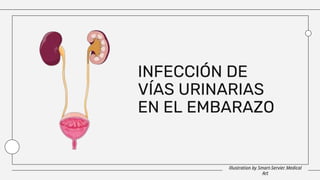 Illustration by Smart-Servier Medical
Art
INFECCIÓN DE
VÍAS URINARIAS
EN EL EMBARAZO
 