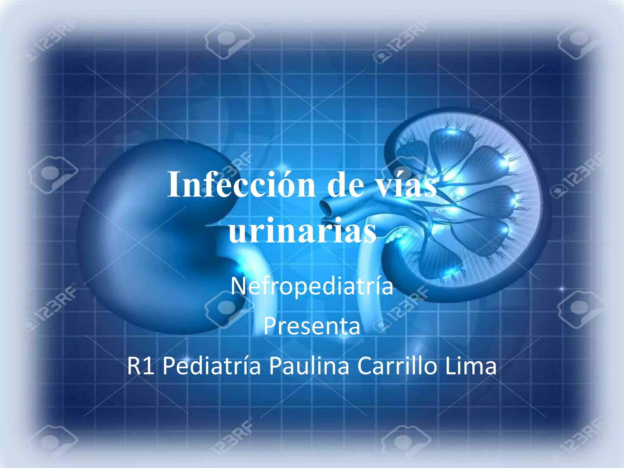 Fisiopatologia De Infeccion De Vias Urinarias Ppt