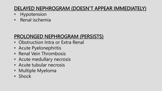 PROLONGED NEPHROGRAM (PERSISTS)
• Obstruction Intra or Extra Renal
• Acute Pyelonephritis
• Renal Vein Thrombosis
• Acute ...