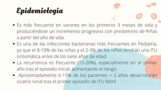 Es más frecuente en varones en los primeros 3 meses de vida y
produciéndose un incremento progresivo con predominio de niñas
a partir del año de vida.
Es una de las infecciones bacterianas más frecuentes en Pediatría,
ya que el 8-10% de las niñas y el 2-3% de los niños tendrán una ITU
sintomática antes de los siete años de edad.
La recurrencia es frecuente (15-20%), especialmente en el primer
año tras el episodio inicial, aumentando el riesgo.
Aproximadamente 6-15% de los pacientes < 2 años desarrollarán
cicatriz renal tras el primer episodio de ITU febril.
Epidemiologia
 