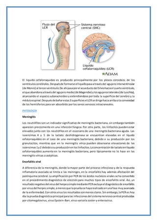 El liquido cefalorraquideo es producido principalmente por los plexos coroideos de los
ventrículoscerebrales.Despuésde formarse elliquidopasaatravésdel agujerointerventricular
(de Monro) al tercerventrículo.De ahípasaporel acueductodelSilviohaciael cuartoventrículo,
el que abandonaatravésdel agujeromedio(de Magendie) ylosagujeroslaterales(de Luschka),
alcanzando el espacio subaracnoideo y extendiendose por toda la superficie del cerebro y la
médulaespinal.Despuésdebañarestas2superficieselLCRse dirigehaciaarribaalaconvexidad
de los hemisferios para ser absorbido por los senos venosos intracraneales.
PATOLOGÍA
Meningitis
Los neutrófilos son un indicador significativo de meningitis bacteriana, sin embargo también
aparecen precozmente en una infección fúngica. Por otra parte, los linfocitos pueden estar
elevados junto con los neutrófilos en el escenario de una meningitis bacteriana aguda. Las
isoenzimas 4 y 5 de la lactato deshidrogenasa se encuentran elevadas en el líquido
cefalorraquídeo en el caso de una meningitis bacteriana, debido a su producción por los
granulocitos; mientras que en la meningitis vírica pueden observarse elevaciones de las
isoenzimas1y2 debidoasuproducciónenloslinfocitos.Laconcentraciónde lactatoenlíquido
cefalorraquídeo aumenta en la meningitis bacteriana, pero típicamente no lo hace en las
meningitis víricas o asépticas.
Encefalitis viral
A diferencia de la meningitis, donde la mayor parte del proceso infeccioso y de la respuesta
inflamatoria asociada se limita a las meninges, en la encefalitis hay además afectación del
parénquima cerebral. La amplificaciónpor PCR de los ácidos nucleicos virales se ha convertido
en el procedimiento diagnóstico de elección para muchos tipos de encefalitis viral. Así, un
resultadonegativodel virusdel herpessimplemediante PCRexcluyeeldiagnósticode encefalitis
por virusdel herpessimple,amenosque lapruebase hayarealizadoenunafase muyavanzada
de la enfermedad.Conotrosviruslos resultadossonmenosclaros.Sin embargo,laPCR es hoy
día la pruebadiagnósticaprincipal paralas infeccionesdel sistemanerviosocentral producidas
por citomegalovirus, virus Epstein-Barr, virus varicela zoster y enterovirus.
 