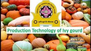 .Production Technology of Ivy gourd
 