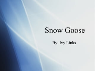 Snow Goose
 By: Ivy Links
 