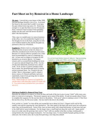 Fact Sheet on Ivy Removal in a Home Landscape

My story. I moved into a new house in May 2008
that had (perhaps literally) a ton of ivy. It covered
the fences to the extent that I couldn’t even open
the gate without removing some of it. Removing
enough ivy to open the fence was my first project.
Next, I mowed it back to keep it from spreading
further into the yard, until the mower decided it
didn’t like that anymore.

Then, since we needed some ivy removal pictures
at the office, two of us tackled the English ivy on
the Douglas fir tree in the back, using the tree life-
saver method similar to that used by the parks de-
partment in the City of Portland.

English Ivy (Hedera helix) is a European forest
that has become invasive in the US, where it is
officially considered to be invasive by most states.
Because it is such an effective ground cover, it has
been recommended for years as a landscape sta-
ple—at least until we began to recognize its full
                                                         Ivy on tree trunk before removal (above). Sign promoting
potential as an invasive species. Ivy league
                                                         English ivy in the mid-1990’s, not so long ago (below)
schools and ivy-covered brick buildings are icons
of a gracious and privileged way of life. Ivy mo-
tifs decorate tablecloths, botanical texts, and art-
work. In art, at least ivy doesn’t produce seeds,
but in nature, the spread through seeds is causing
serious economic harm. So, it needs to be con-
trolled. Mow it, discourage it, pull it, whack it
down, remove it’s flowers and fruits, and most
importantly, keep it from growing into its mature
form (more on that later).
Note: Some people are sensitive to English Ivy
and develop a rash when they touch it or work with
it. Use caution until you know how your skin re-
acts to it.



Life-Saver English Ivy Removal from Trees.
Basically the method is to remove ivy from the base and trunk of the tree to give it some “relief” while more com-
plete ivy removal is in progress. The picture sequence gives some of the details. It took two people about 2 hours
to complete this sequence for the one tree shown in the photos. “Life-saver” refers to making a circle 3-5 feet from
the tree free of ivy, the life-saver candy—the tree itself is the hole in the middle.

First, cut the ivy “trunks” or vines all the way around the tree at about eye level. Clippers work well for the
smaller vines and for exposing the vines themselves. The vines attach to the bark with aerial roots, but with persis-
tence, they can be peeled away. Some of the vines cut more easily with a hand-held pruner, at least once they get
to be a half inch or more in diameter. For the larger vines, a small hand saw does the work well. Again, persis-
tence is in order since the growing vines seem to “fuse” with one another when they overlap, creating quite a
strong bond as the vines get larger in diameter. For very large vines, I’ve have heard of people getting out their
chain saw, but in those cases, the ivy has been growing a very long time indeed!
 