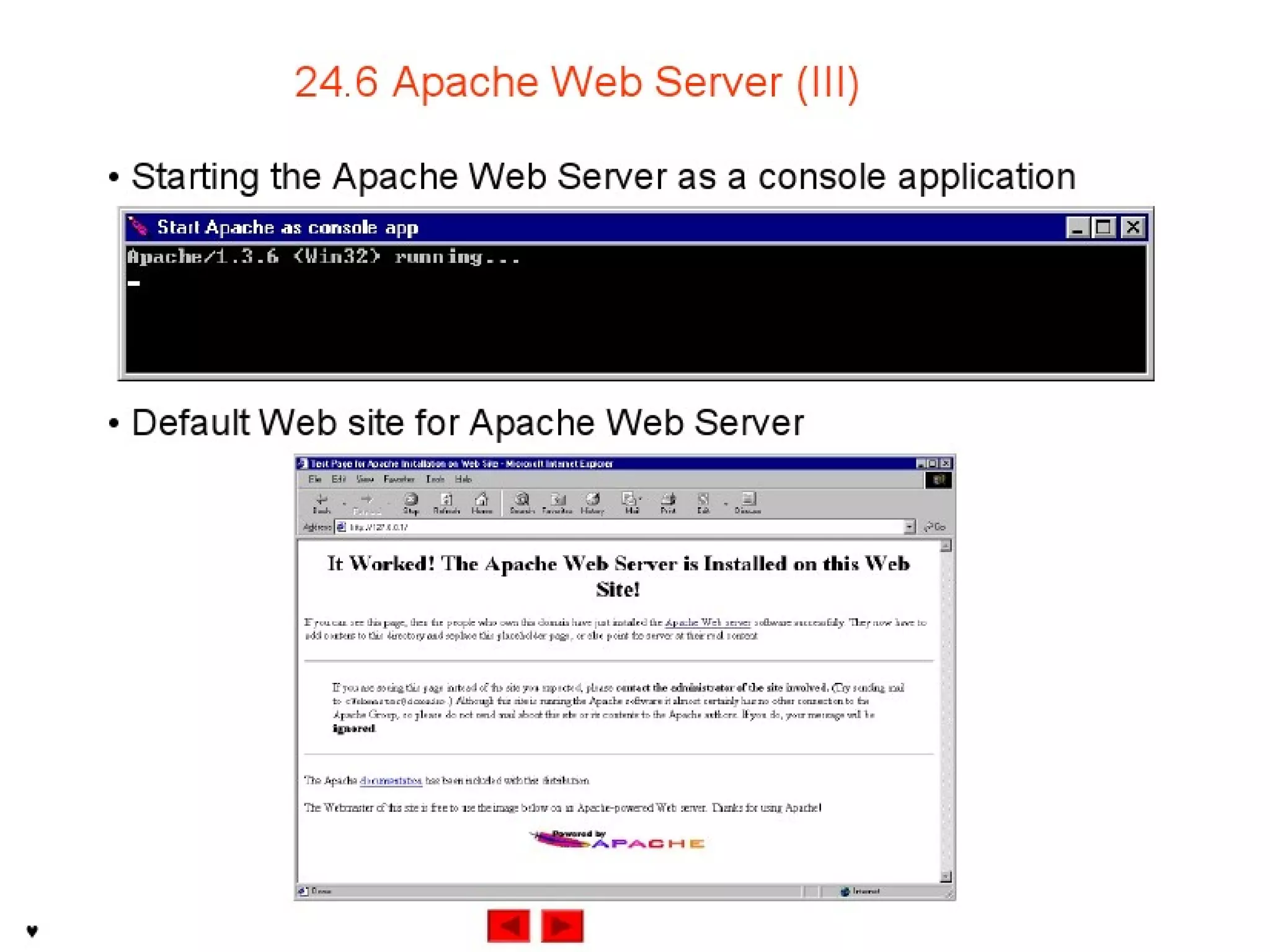 Internet development 24