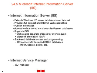 Internet development 24
