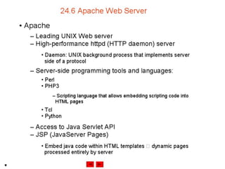 Internet development 24