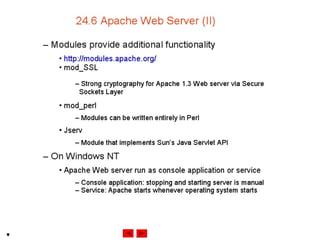 Internet development 24